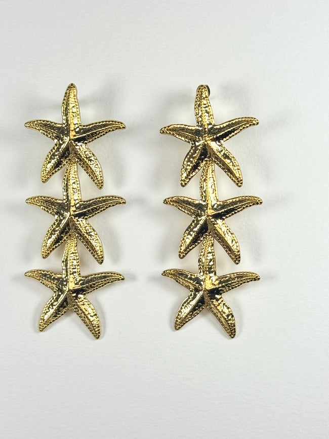 Stella Marina Lunga