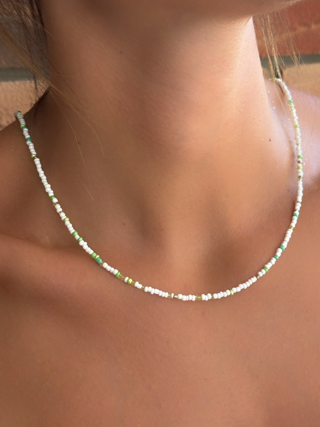 Collana Santo Domingo